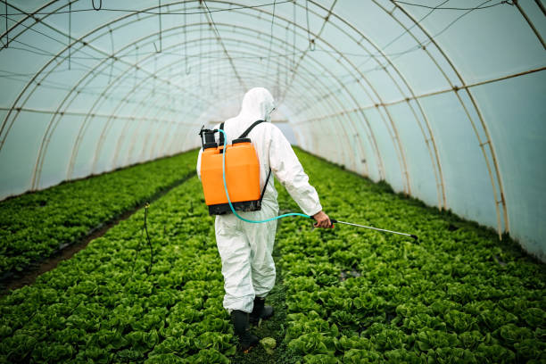 Best Emergency Pest Control  in Apple Creek, OH